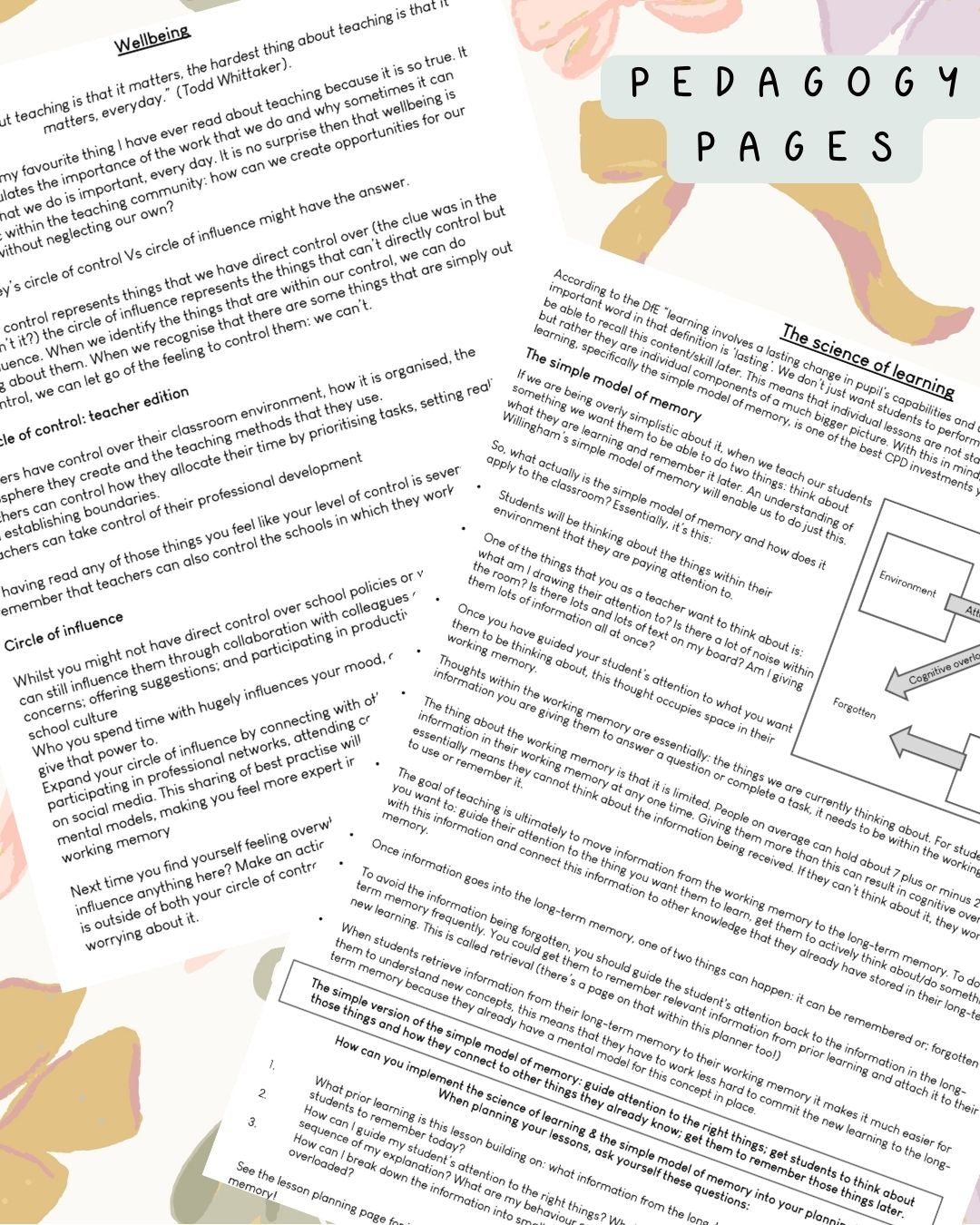 Neutral Bows Discbound UK Teacher Planner