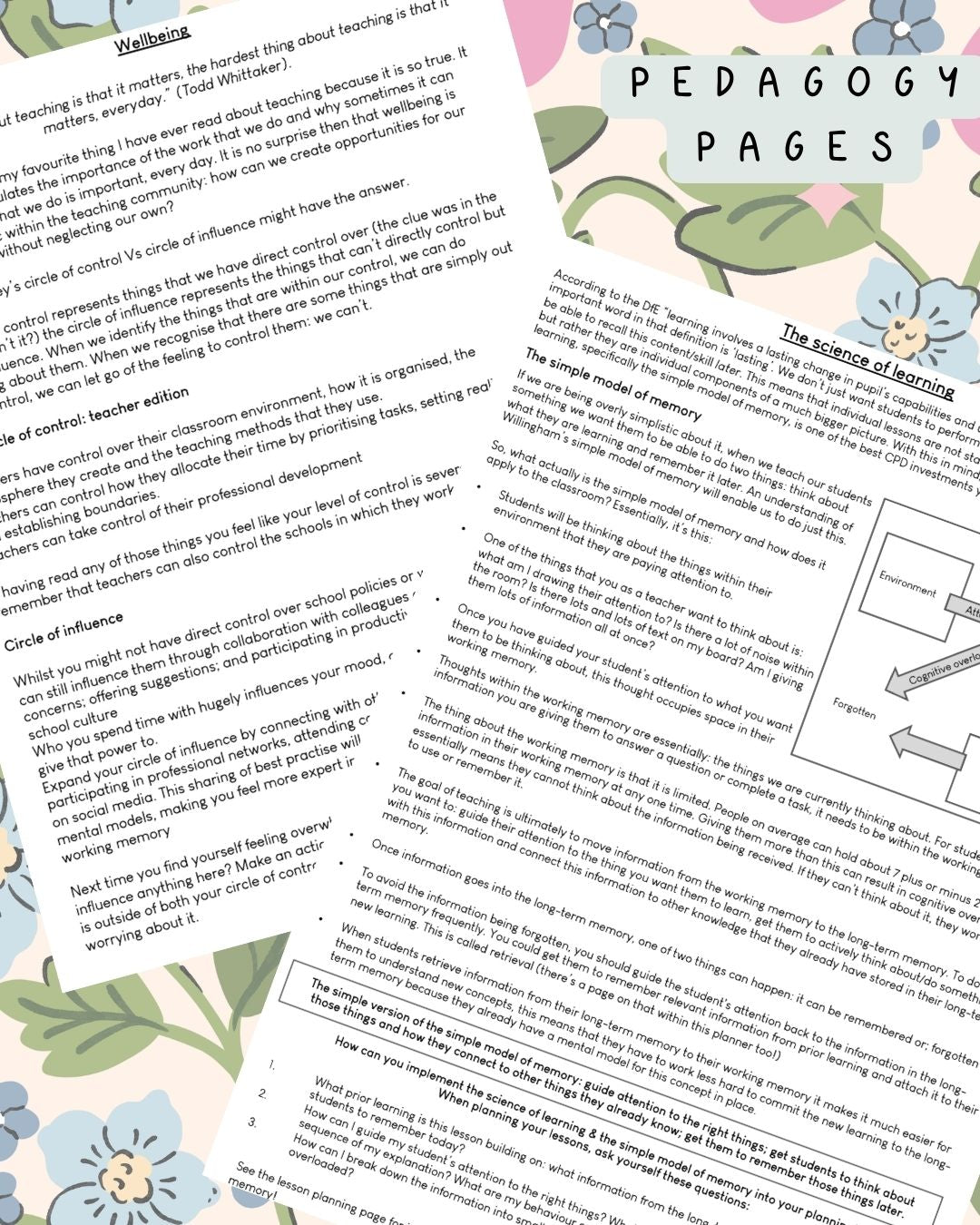 Strawberry Fields Discbound UK Teacher Planner (2026-27)