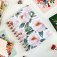 Cover Bundle